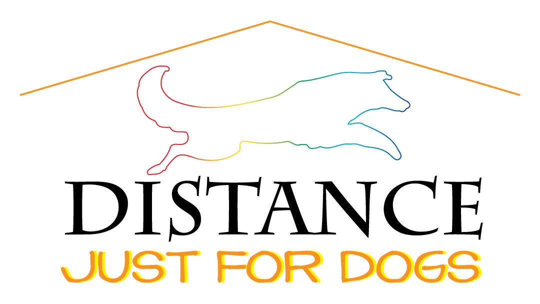 D4D_JFD_Logo